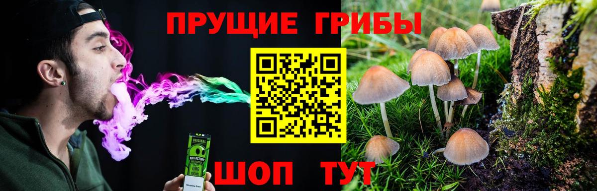 Галлюциногенные грибы мухоморы Волжск